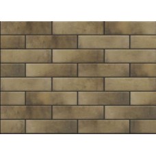 Retro Brick  masala  245x65x8 